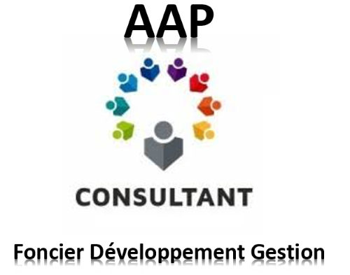 AAP Consultant
